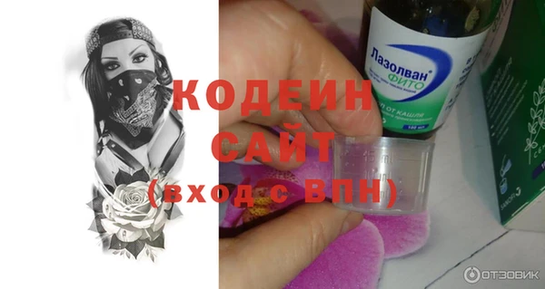 крисы Баксан