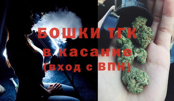 крисы Баксан