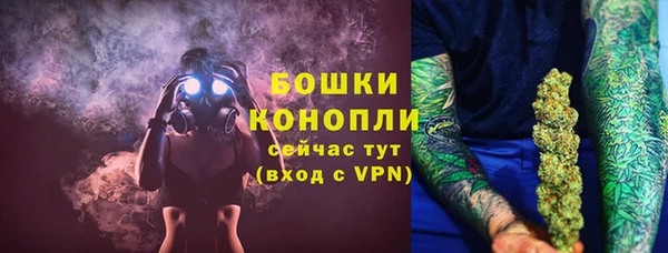 крисы Баксан