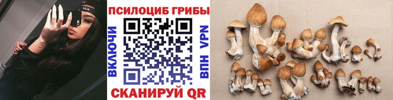 Галлюциногенные грибы Cubensis mega ссылки Тобольск